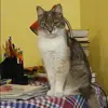 Отзыв от Софья Гуляева